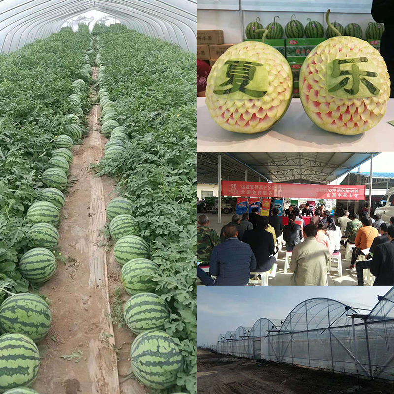 未標題-3